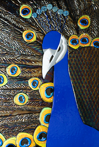 "Peacock" - Glass artwork of a peacock by Karen Perieff.